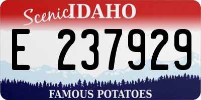 ID license plate E237929