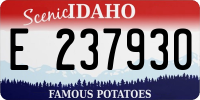ID license plate E237930