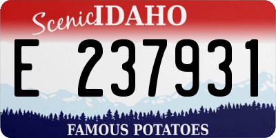 ID license plate E237931