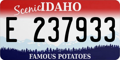 ID license plate E237933