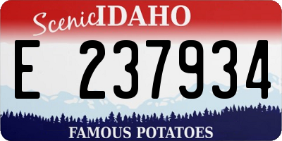 ID license plate E237934