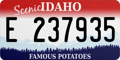 ID license plate E237935