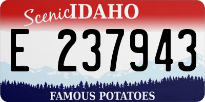 ID license plate E237943