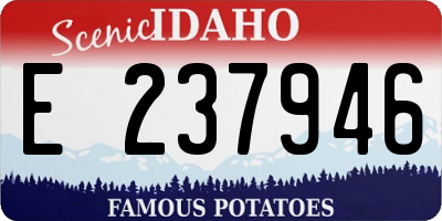 ID license plate E237946