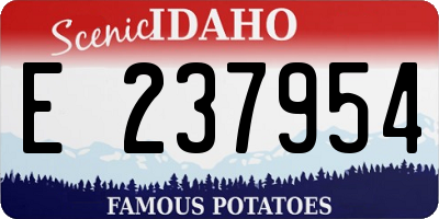 ID license plate E237954