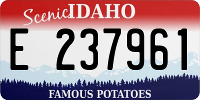 ID license plate E237961