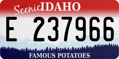 ID license plate E237966