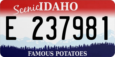 ID license plate E237981