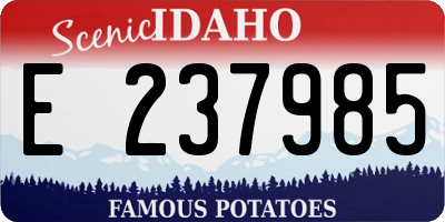 ID license plate E237985