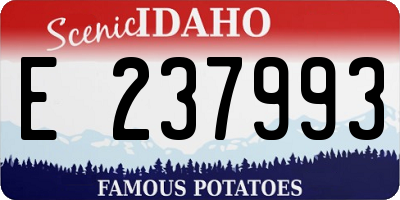 ID license plate E237993