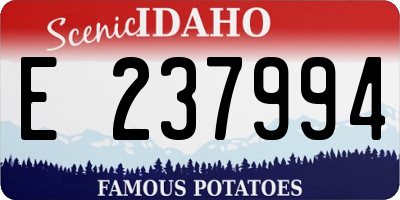 ID license plate E237994