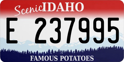 ID license plate E237995
