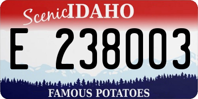 ID license plate E238003