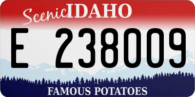 ID license plate E238009