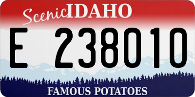 ID license plate E238010