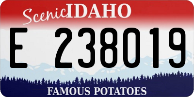 ID license plate E238019