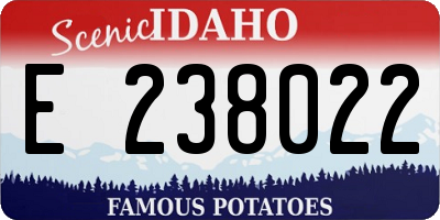 ID license plate E238022