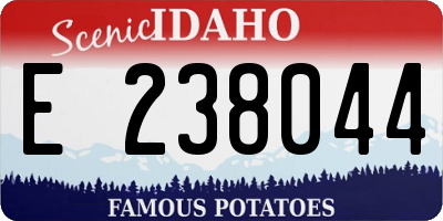 ID license plate E238044