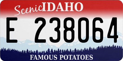 ID license plate E238064