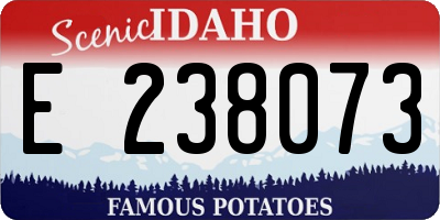 ID license plate E238073