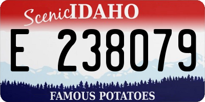 ID license plate E238079