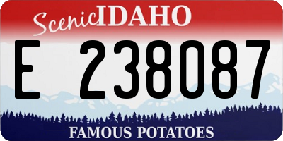 ID license plate E238087