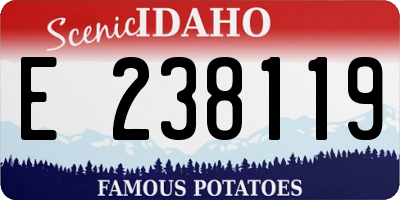 ID license plate E238119