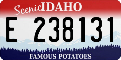 ID license plate E238131