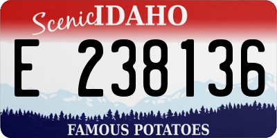 ID license plate E238136
