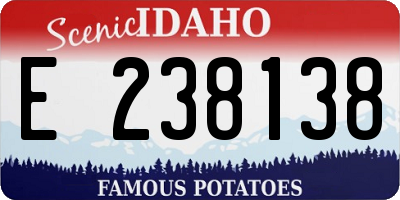 ID license plate E238138