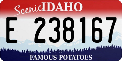 ID license plate E238167
