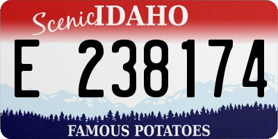 ID license plate E238174