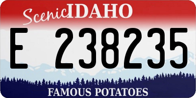ID license plate E238235