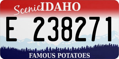 ID license plate E238271
