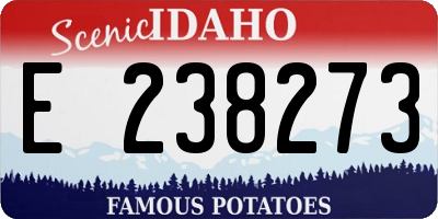 ID license plate E238273