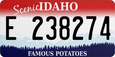ID license plate E238274