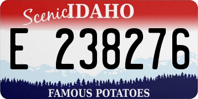 ID license plate E238276