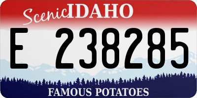 ID license plate E238285