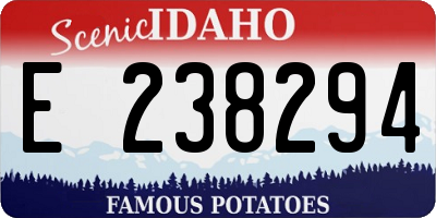 ID license plate E238294