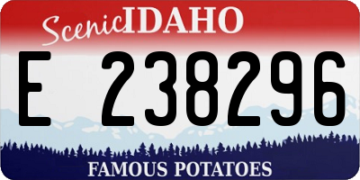 ID license plate E238296
