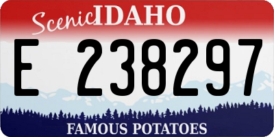 ID license plate E238297