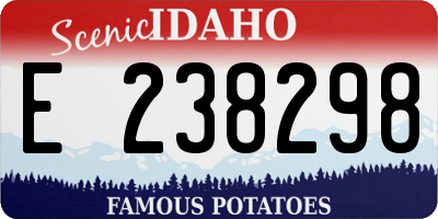 ID license plate E238298