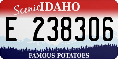 ID license plate E238306
