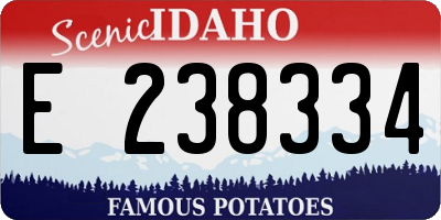 ID license plate E238334