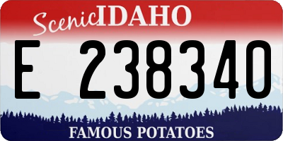 ID license plate E238340