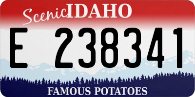 ID license plate E238341