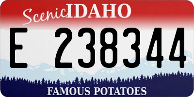 ID license plate E238344