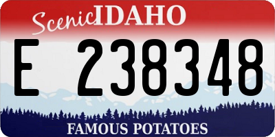 ID license plate E238348