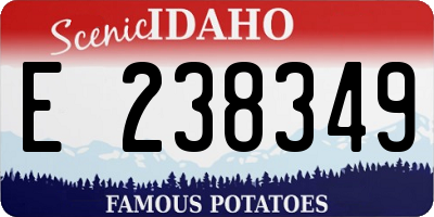 ID license plate E238349