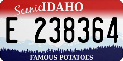 ID license plate E238364
